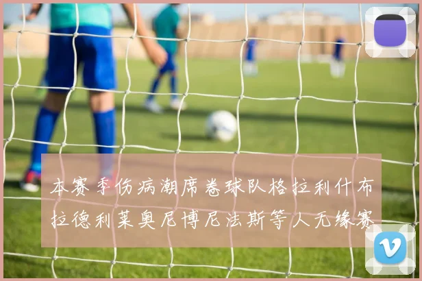本赛季伤病潮席卷球队格拉利什布拉德利莱奥尼博尼法斯等人无缘赛季余下比赛