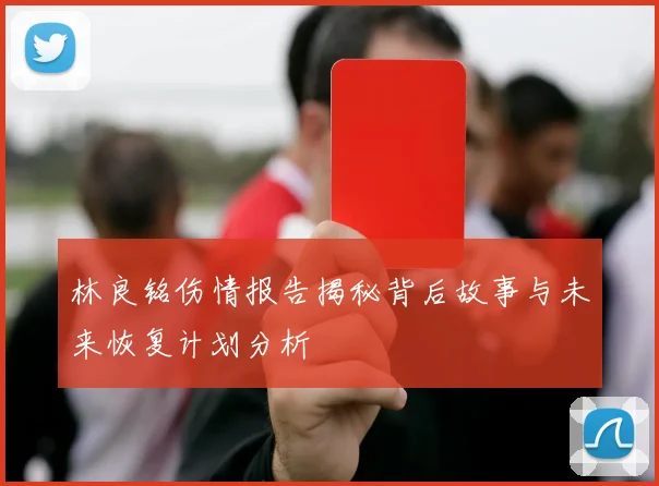 林良铭伤情报告揭秘背后故事与未来恢复计划分析